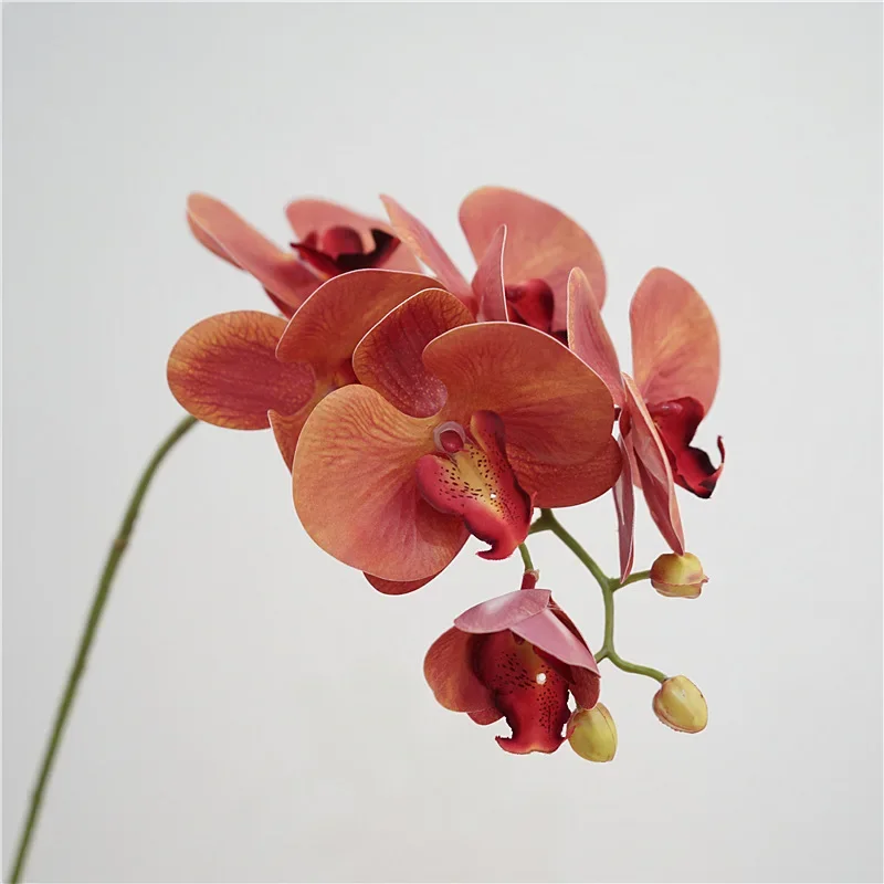 

5Pcs Hand-feel 6Heads Phalaenopsis Orchid Latex Artificial FlowersHome Decoration Wedding Party Flower Arrangement Ornaments