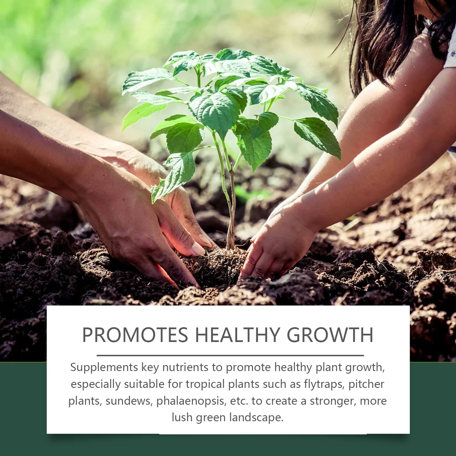 محلول مغذيات النباتات الاستوائية 100 مللي قطرات الأسمدة النباتية الاستوائية لنمو نباتات آكلة اللحوم السائلة