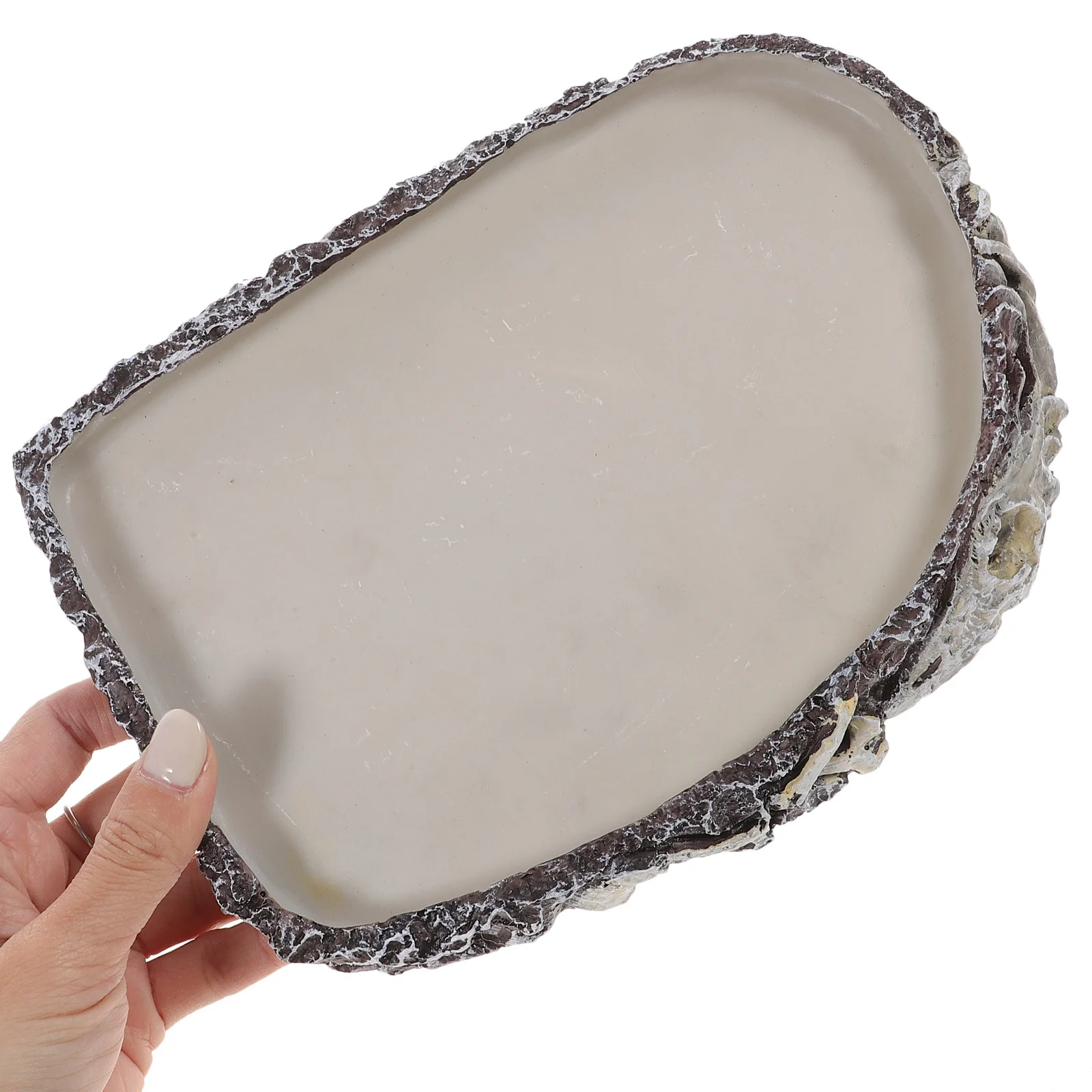 

Reptile Water Dish Resin Material Lifelike Design Multi-Function Food and Water Bowl for Geckos Snakes Lizards Turtles