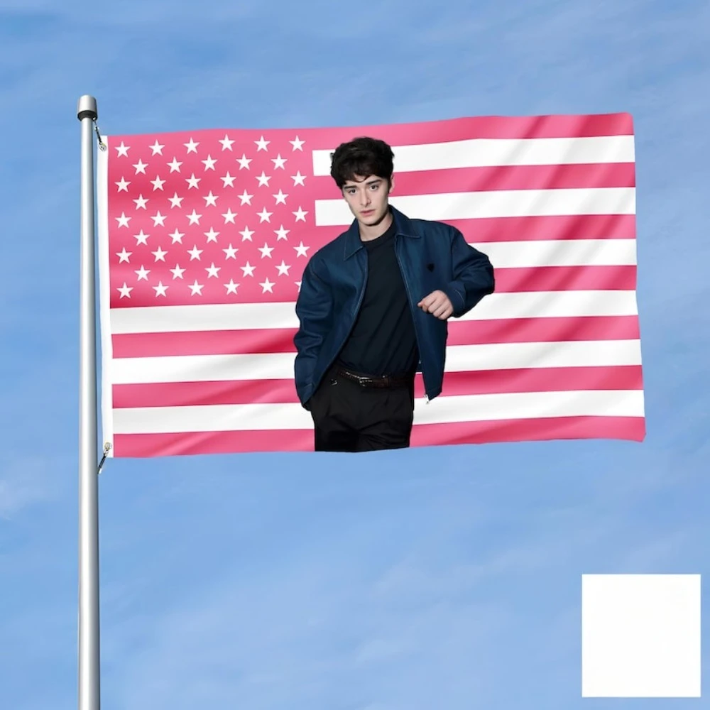 Noah Schnapp Lover Flag – Pink American Aesthetic Tapestry for Pride Wall, Dorm Decor, or Queer Room Art by BennyBoyStore
