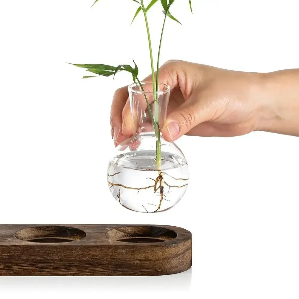 Florero cristal hidropónico transparente morno con banja mara