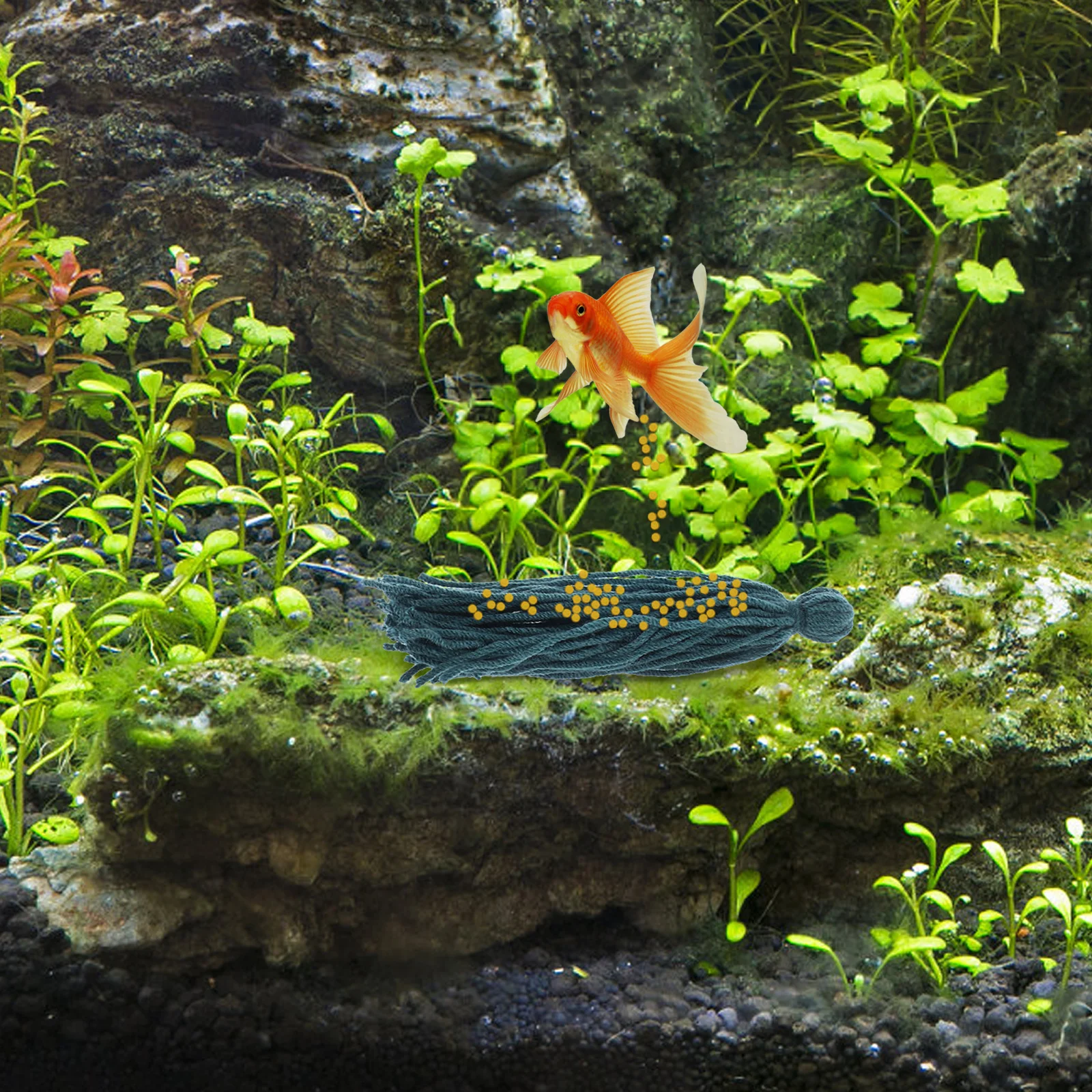 อุปกรณ์เพาะพันธุ์ปลาในตู้ปลา 5 ชิ้น แบบลอยน้ำ