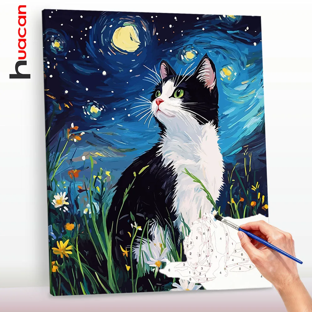 Huacan Malen nach Zahlen Sternenhimmel Katze DIY Ölgemälde Tier-Zeichnung nach Zahlen Set für Erwachsene Handgemaltes Geschenk Heimdekoration ﻿ ﻿ ﻿