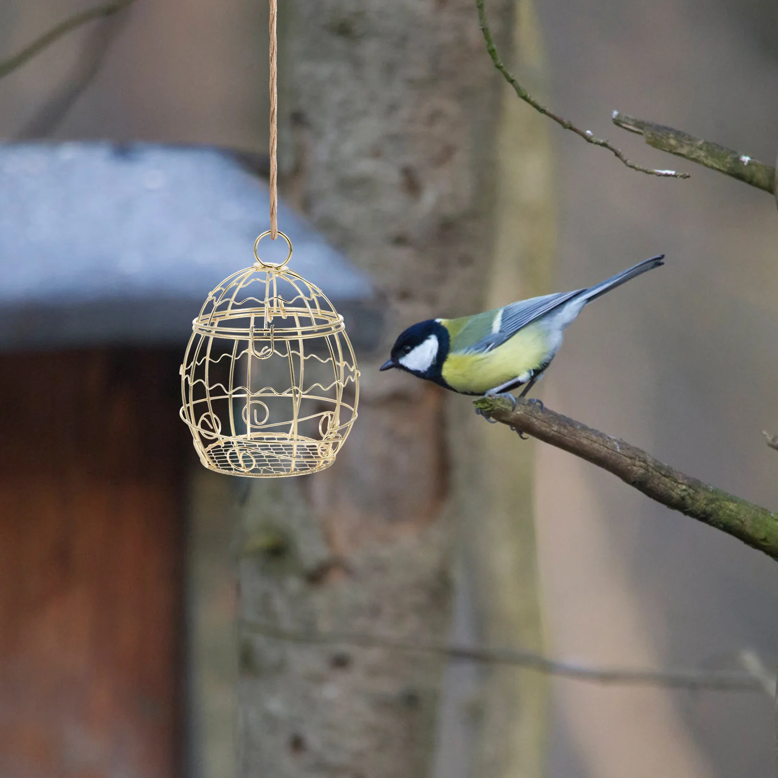

3pcs Hanging Feeder Wild Bird Feeder For Balcony Garden Yard Suet Balls Feeding Basket Washable Outdoor Iron Wire Bird Suet