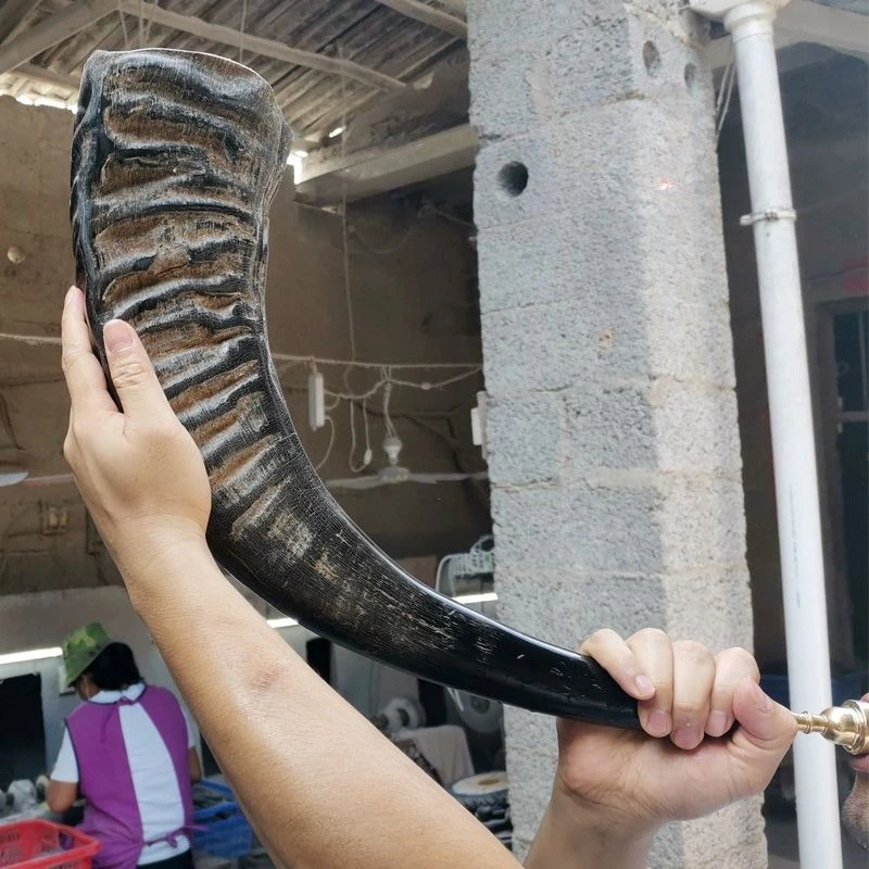 

Традиционный рог из бычьего рога, профессиональный, для взрослых и начинающих, духовой инструмент, этнический, для выступлений, латунный музыкальный инструмент