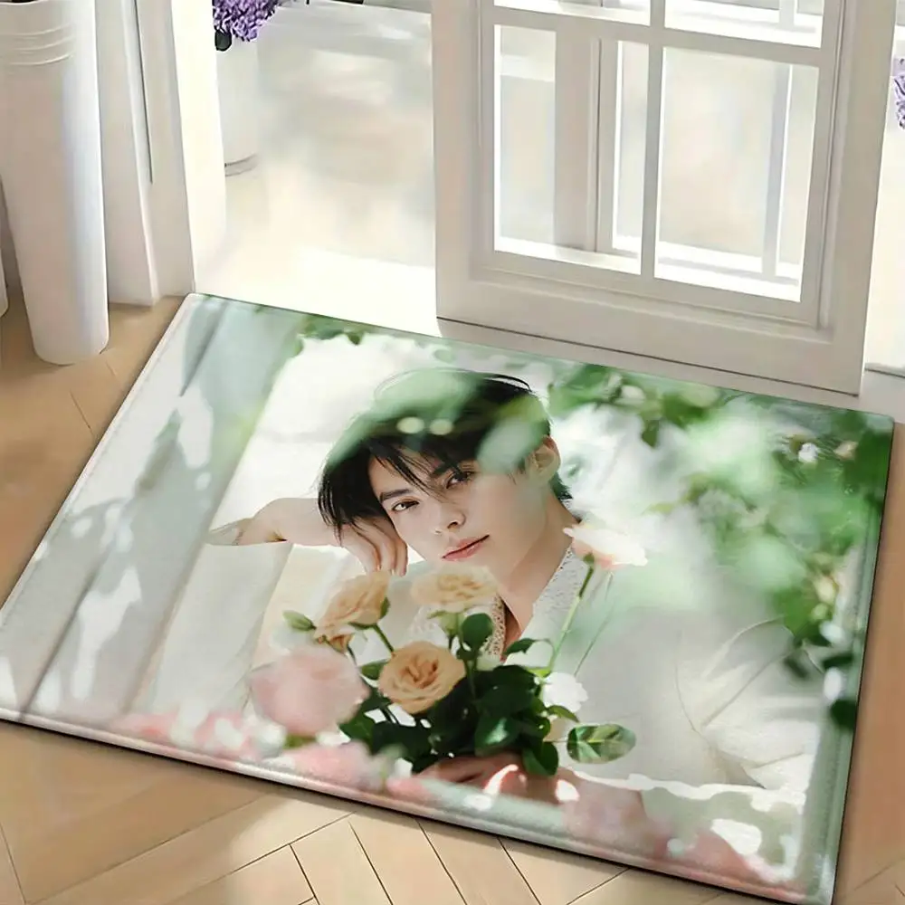 Wang Hedi Dylan Wang Floor Mat Soft Non Slip for Entry Door Bathroom Indoor Home Decorative Carpet