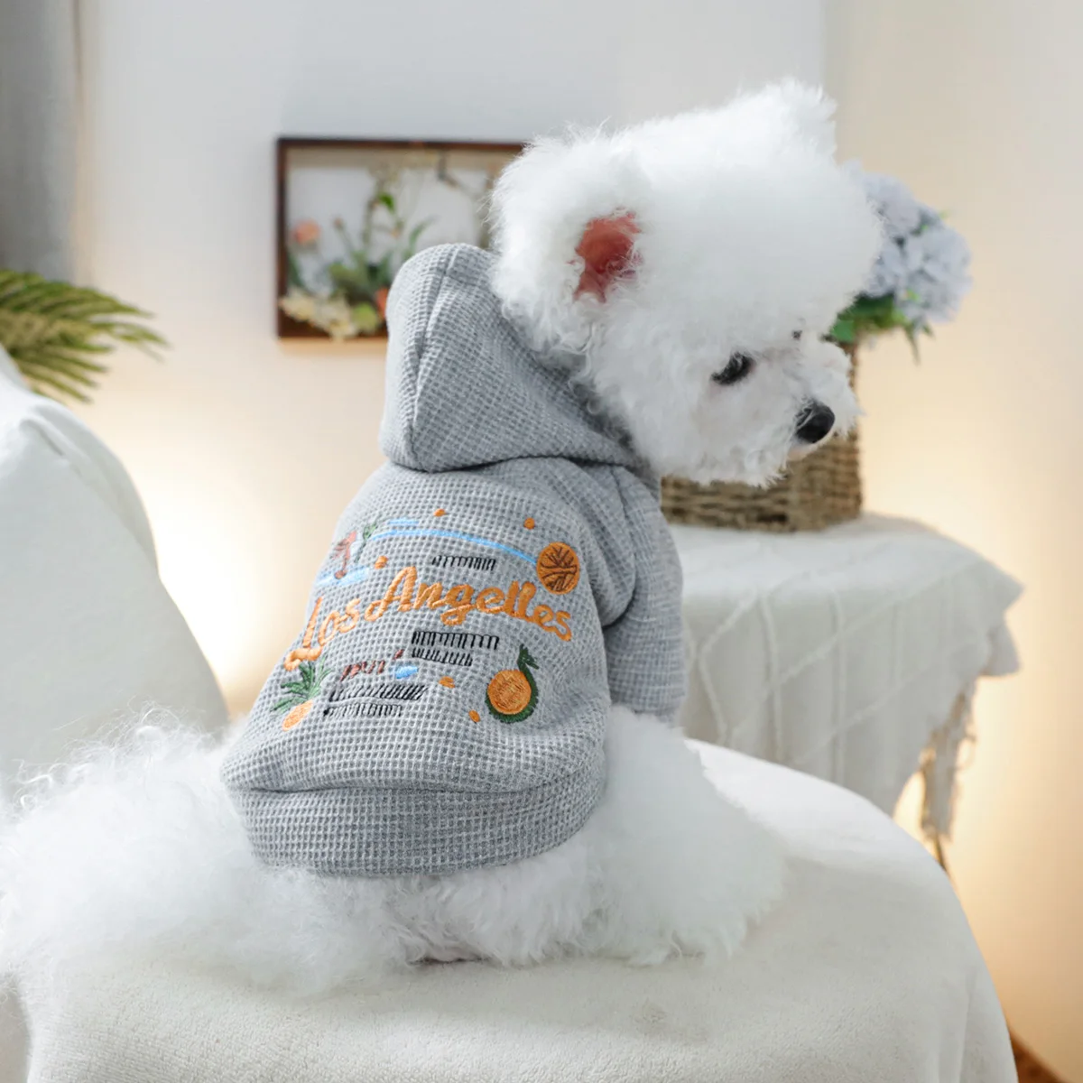 1PC Pet Clothing Spring and Autumn Grey Sunshine California Hat Coat Suitable for Small and Medium sized Dogs