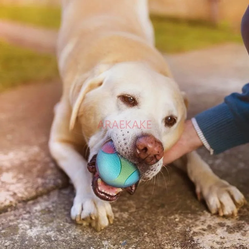 Dog toy, chew resistant elastic ball, bite free, relieve boredom training, color blocked rubber ball, pet toy