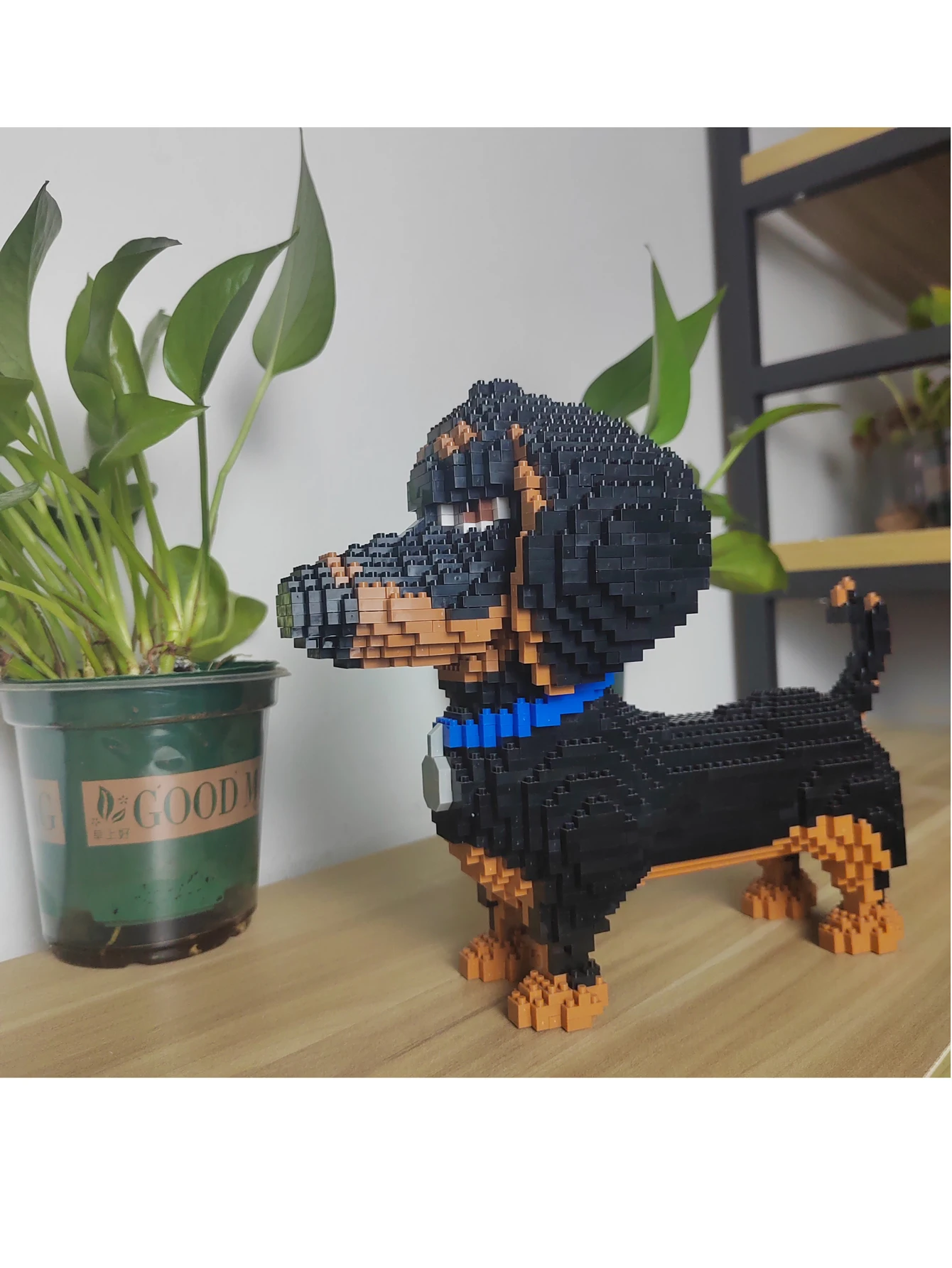 Geniteen Set Costruzioni Pet Shop, Mattoncini In ABS Per Bambini E Adulti, Giocattolo Creativo