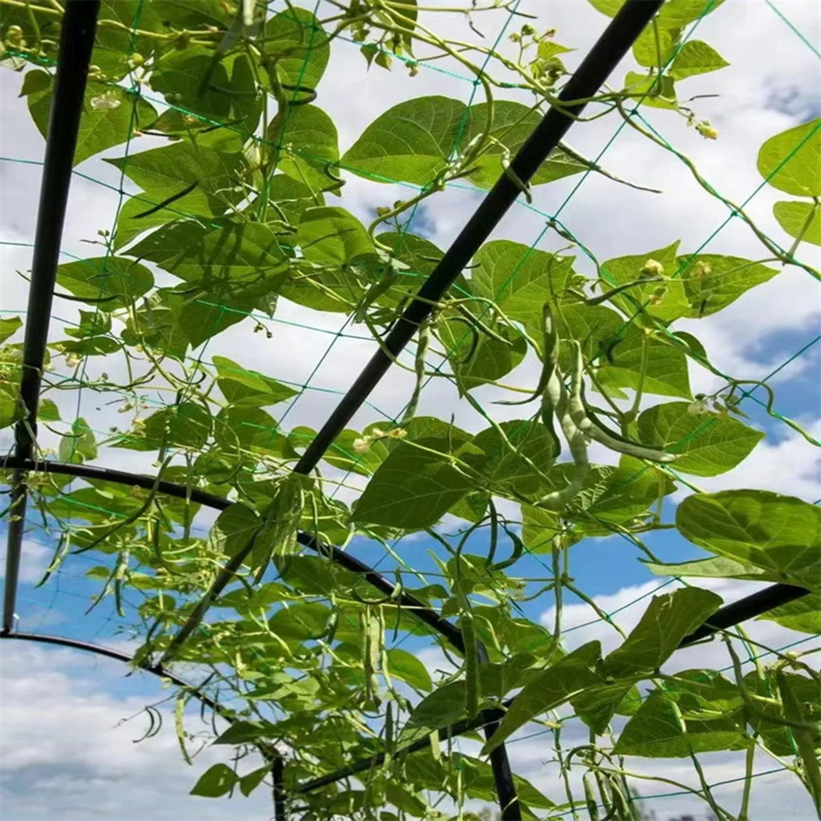 Garden Anti-Birds Net Trellis Netting for Climbing Plants Vegetables Fruits Support Reusable Mesh