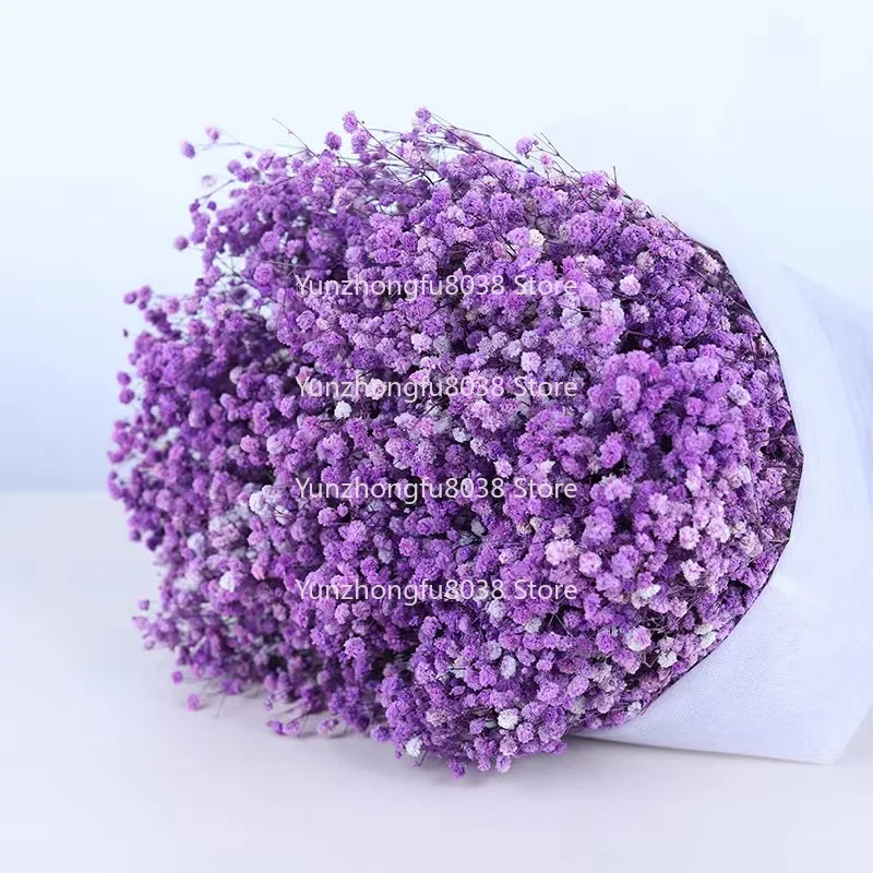 Dried Flowers Preserve Baby Breath Home/Wedding/Park/Party Decor and Flora