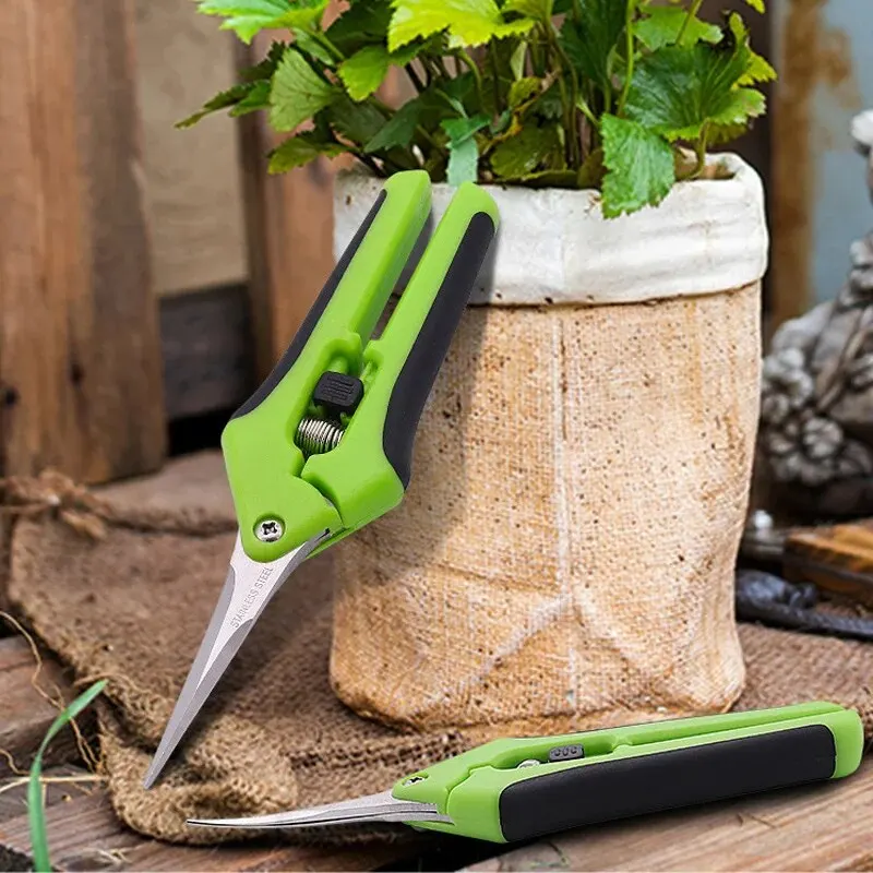 Gardening Pruning Shears Garden Tools Secateurs Bonsai Gardening Scissor Pruning Tool Grape Fruit Picking Weed Household Potted