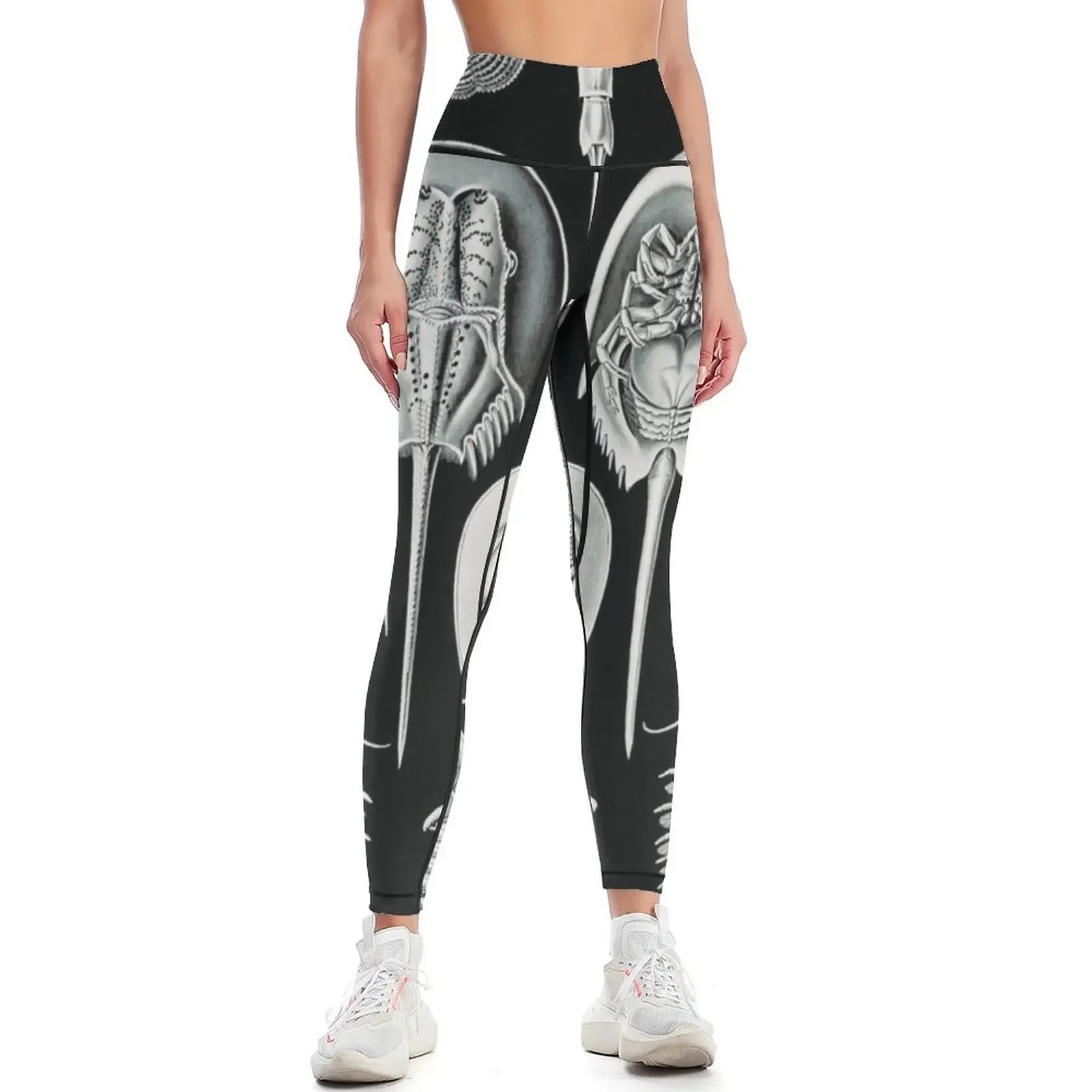 

Crustaceans vintage illustration Leggings Female legging pants sport set Women sportwear gym's clothing Womens Leggings