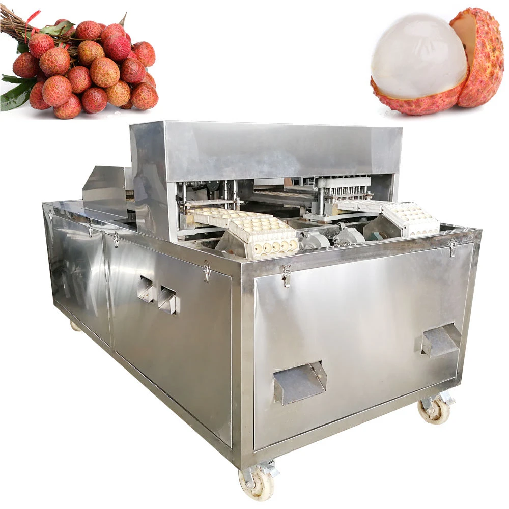 

High Quality High Capacity Fruit Pitting Machine Remover Coring Machine Made In China