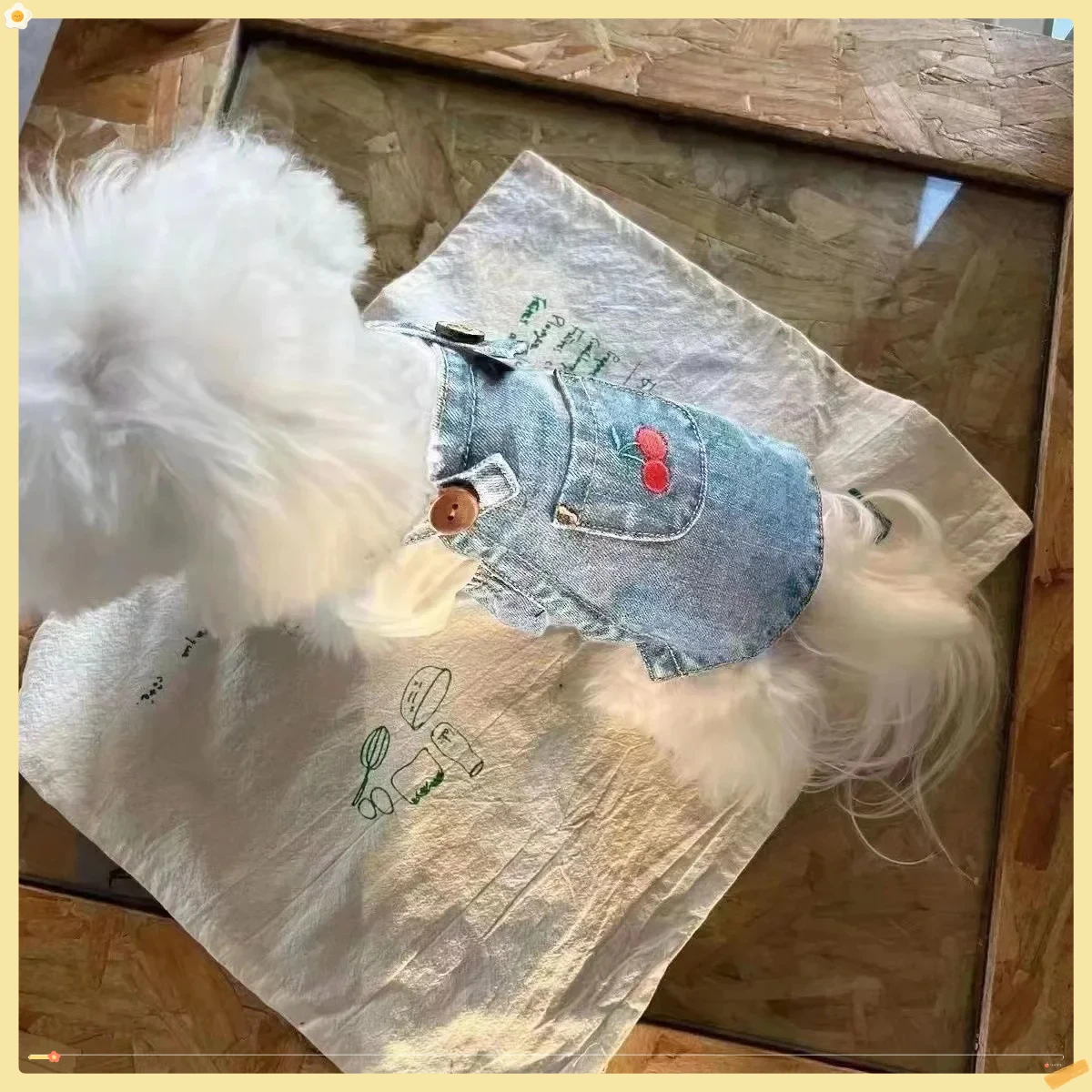 New Dog Pet Cat Den… - image