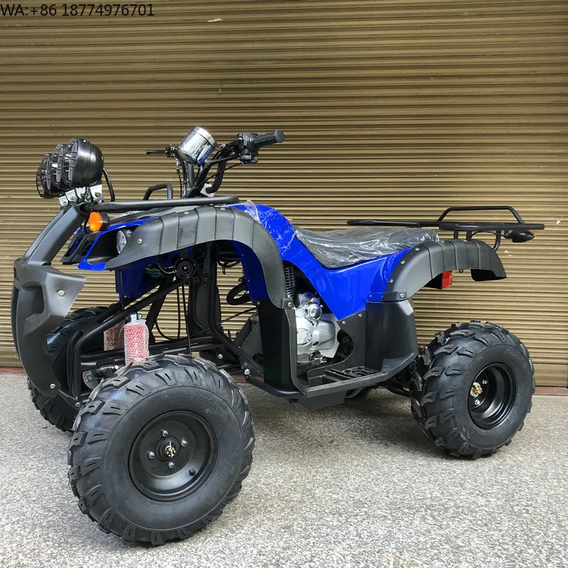 250cc Automatic 4-Stroke Off-Road 4-Wheel Sport Utility Youth Adult Kids Electric Gas ATV 2WD Max Speed 75-100km/h 2/4-Seater