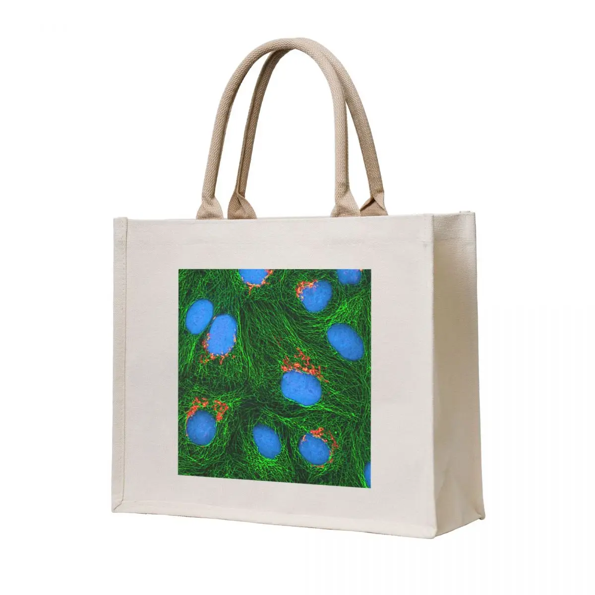 

HeLa Cancer Cell, Microscope Photo Tote Bag shopping trolley bag personalized tote bag bags for women