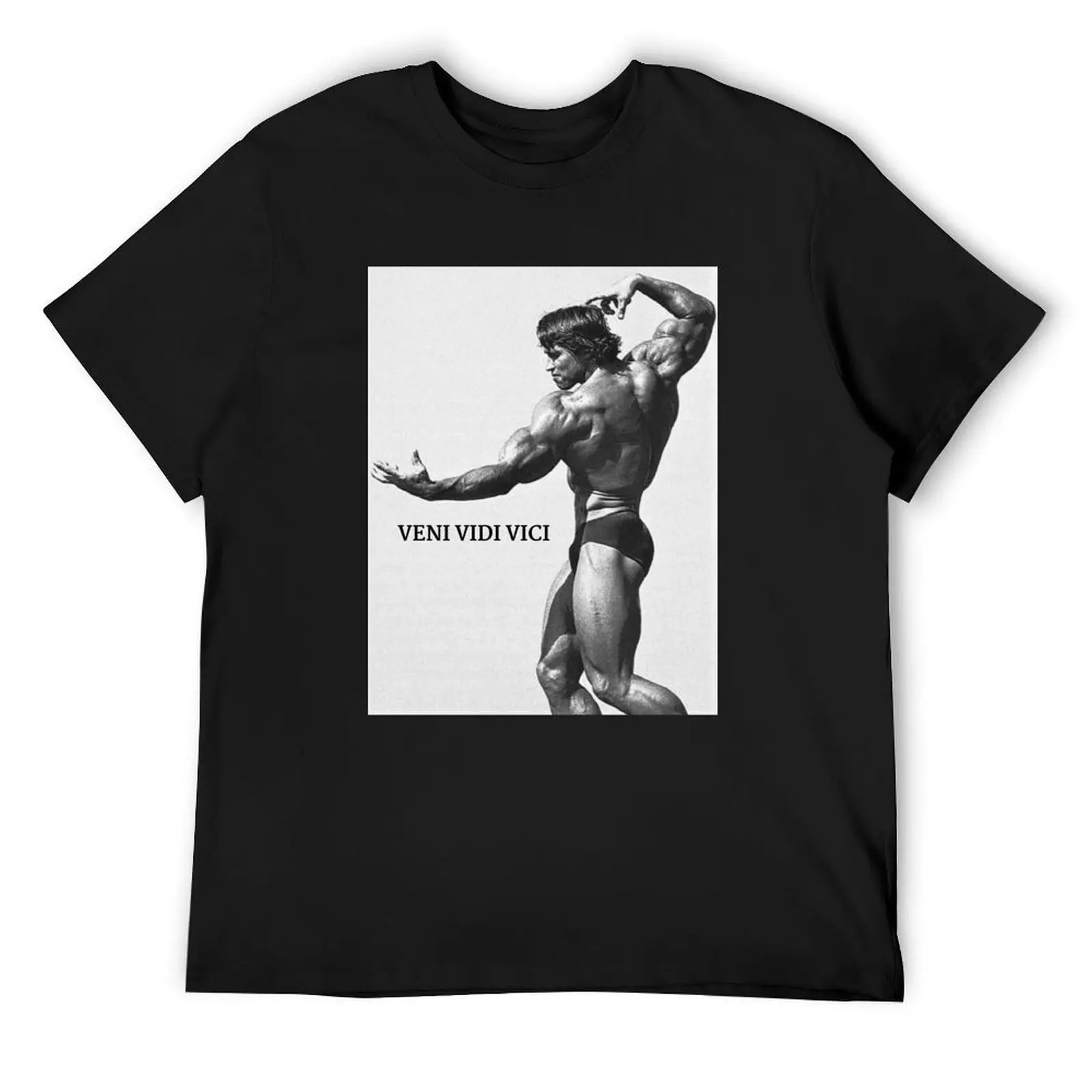 

Veni. Vidi. Vici T-Shirt new gifts and t-shirts funny costumes aesthetic clothes t shirts for men cotton