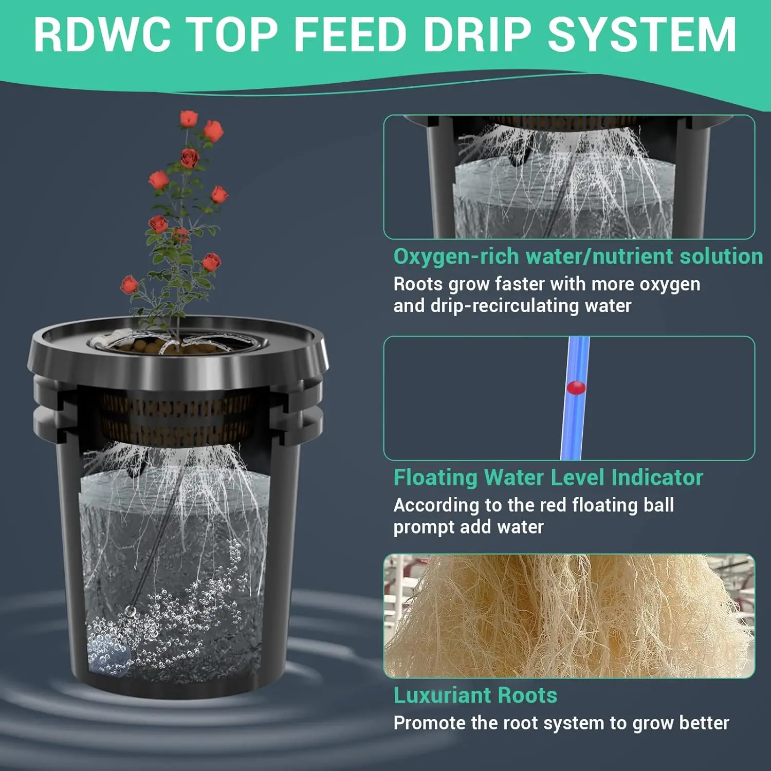 Hydroponiksysteme 6 Eimer + Reservoir, recirkulierendes Hydroponik-Eimersystem für die Tiefenwasserkultur, 5-Gallonen-Hydrokultur