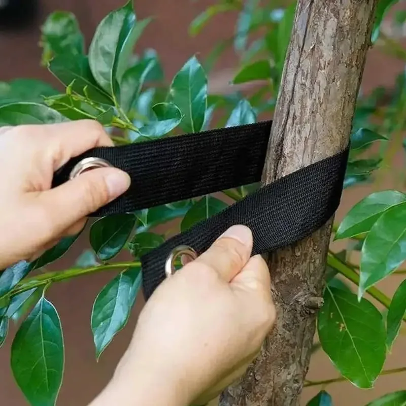 Reusable Tree Support Straps Windproof Anti-Hurricane Tree Staking Straightening Ties with Grommets Yard Accessory