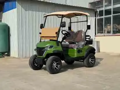 بيع المصنع مباشرة عربات الغولف الكهربائية عربة الغولف الكهربائية الحديثة #3