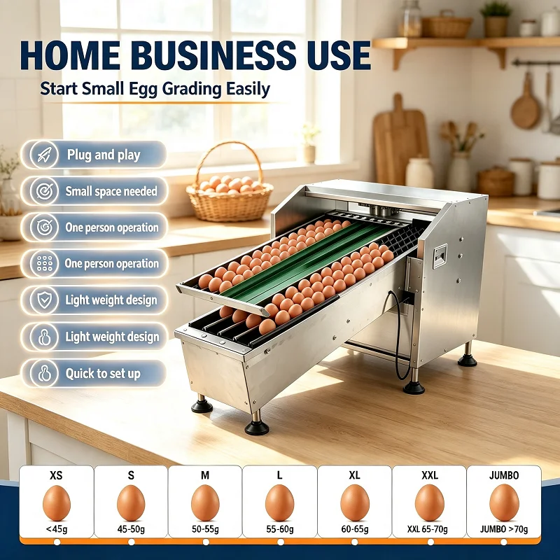 Food Grade Egg Grading Machine Digital Scale 2000 Eggs/H Sorter Chicken Duck Grader Customized for Small Poultry Farm