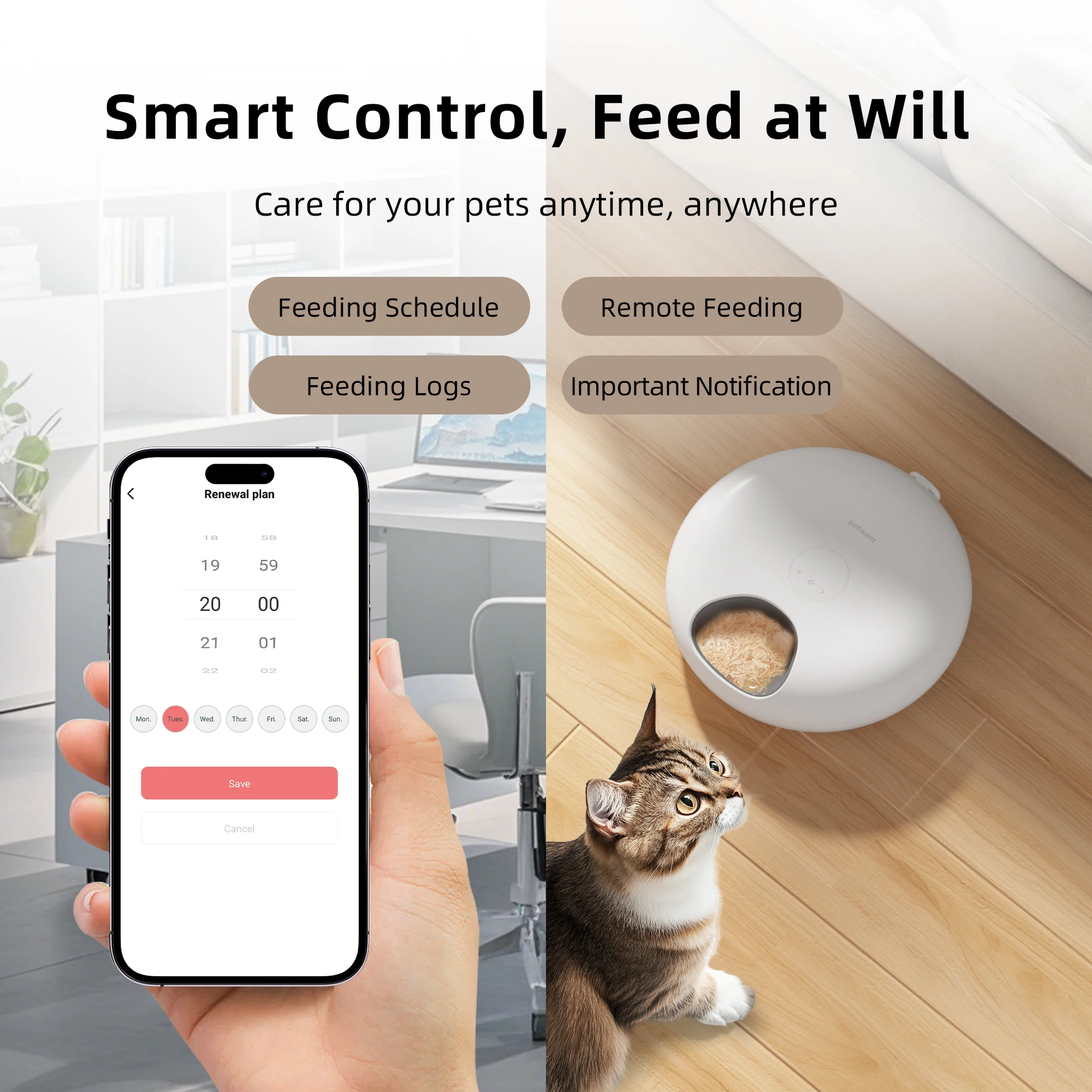 Petwant Cat Smart Feeder 6 Meals Wifi APP Remote Support Dry Wet Food Dispenser Dual Power Supply Automatic Pet Feeder For Cats