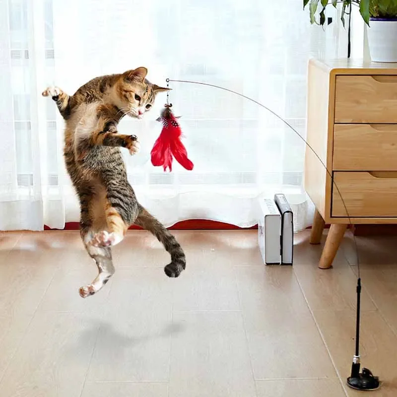 

Funny Cat Toy Feather With Bell Sucker Cat Stick Toy Kitten Play Interactive Detachable Teaser Dog Training Toys Cat Supplies