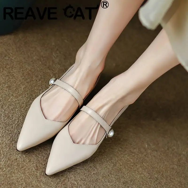 

REAVE CAT Women Flats Pointed Toe Slip On Strap Office Lady Shoes Elegant Large Size 40 41 42 43 Solid Comfortable Daily Shallow