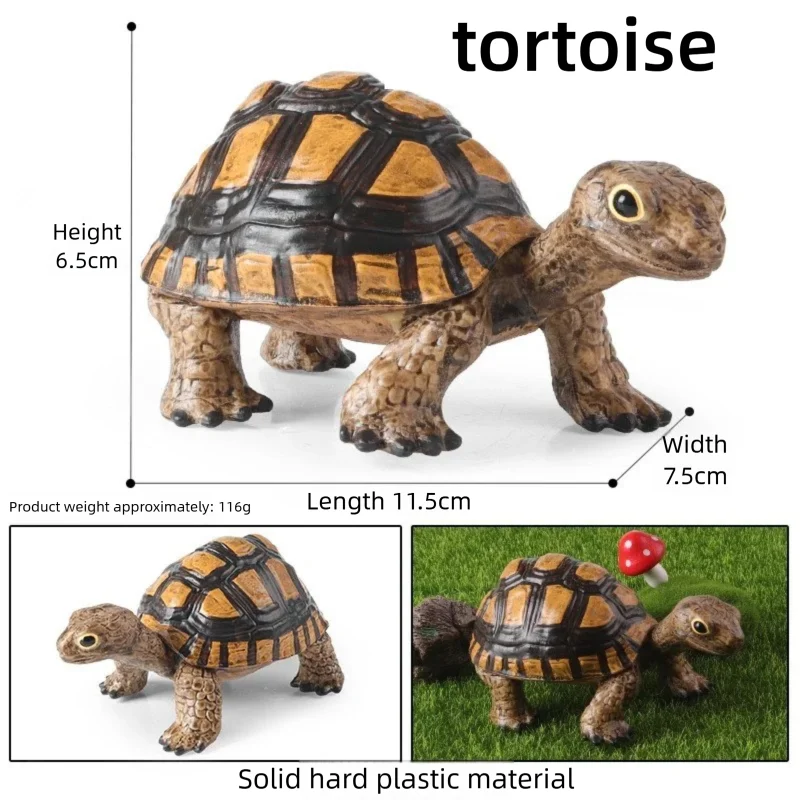 Oenux Simulations-Schildkröten-Set: Alligator, Galapagos-Schildkröte, Chinesische Weichschildkröte Figuren und Puppen – Detail 26