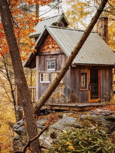 

Middle Diameter20.5mm Lightweight Wheels Self-made Parts For Tamiya MINI 4WD Colored Wheel w/Aluminum Disc