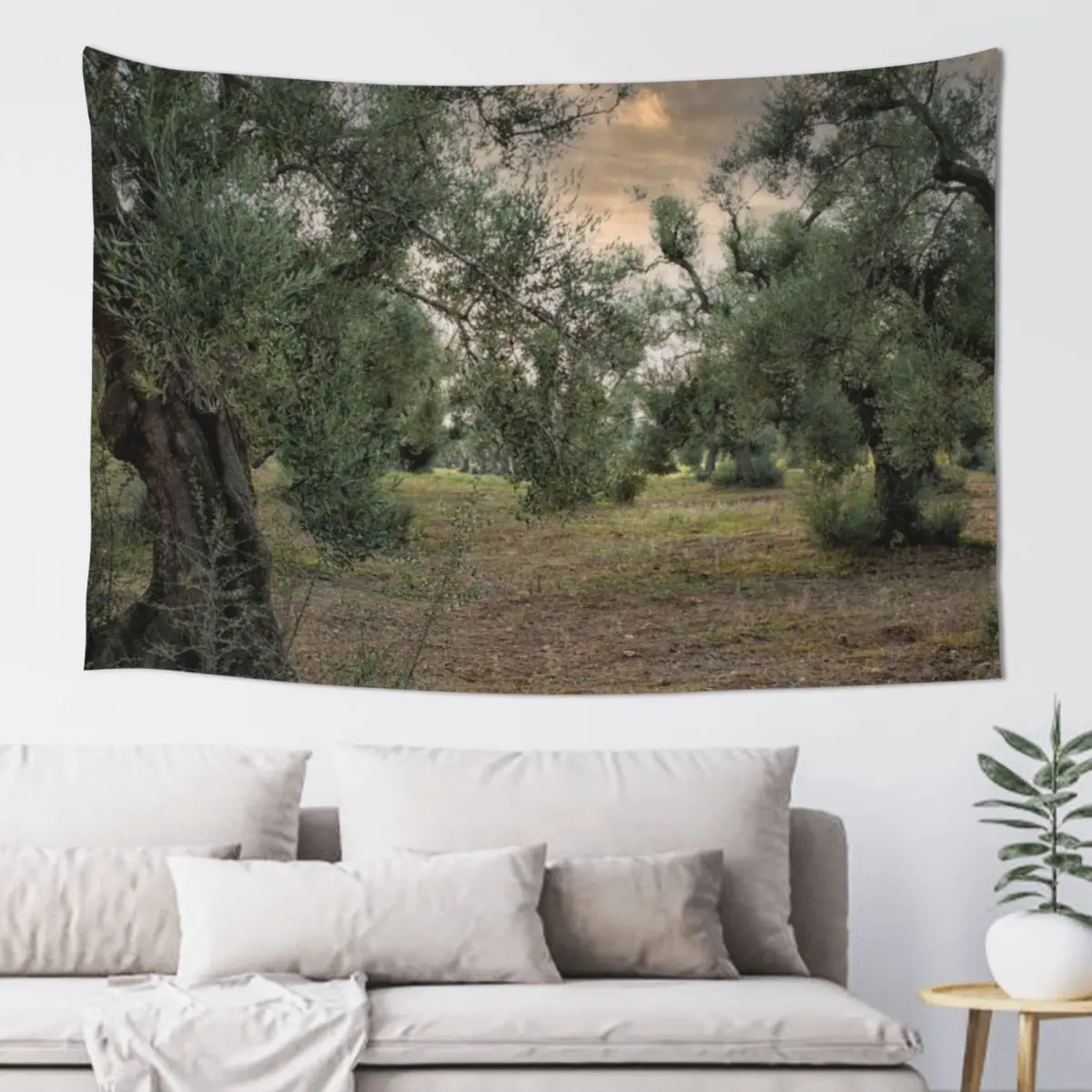 

Olive trees with sunset Tapestry House Decoration Home Decorations Wall Hanging Decor Art Mural Tapestry