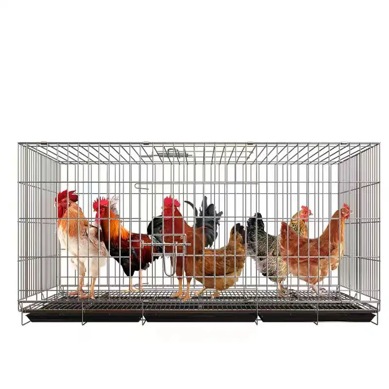 Professional Manufacturer's Chicken Breeding & Egg Laying Hen Cage For Sale A Type