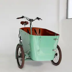 Swing Balance Device 26 Inch Electric Cargo Bike/bakfiets/cargobike Nexus 3 Speeds Electric Cargo Bike Electric