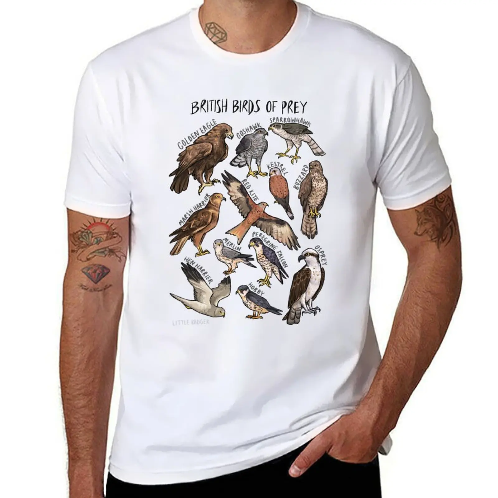 تي شيرت British Birds of Prey تي شيرت للرجال من القطن حزمة تي شيرت قطني