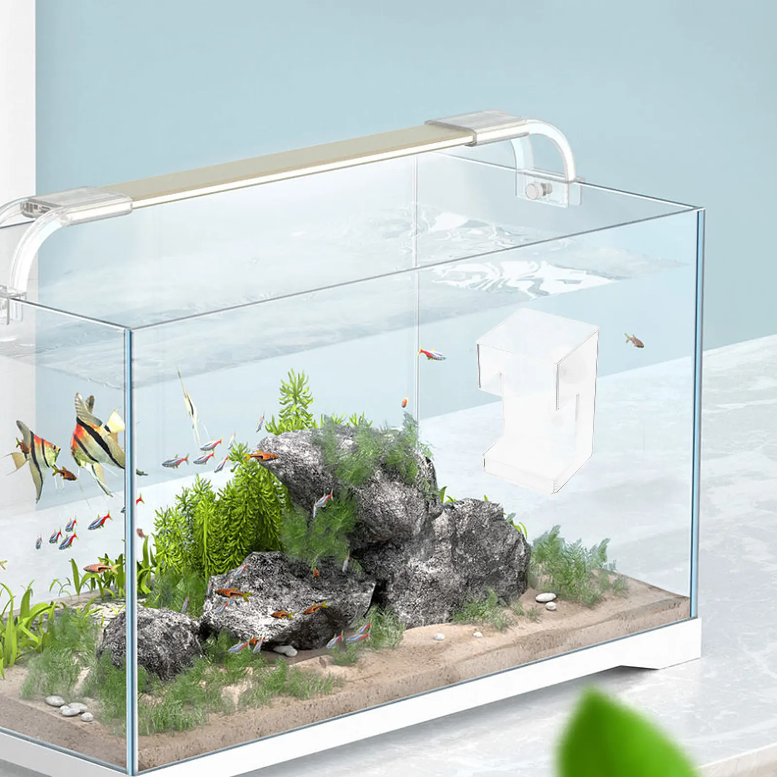 

Fish Feeder Flakes Suction Cups Aquarium Feeding Tank Clear Feeder Ring Reusable Portable Small Accessories Pet Supplies