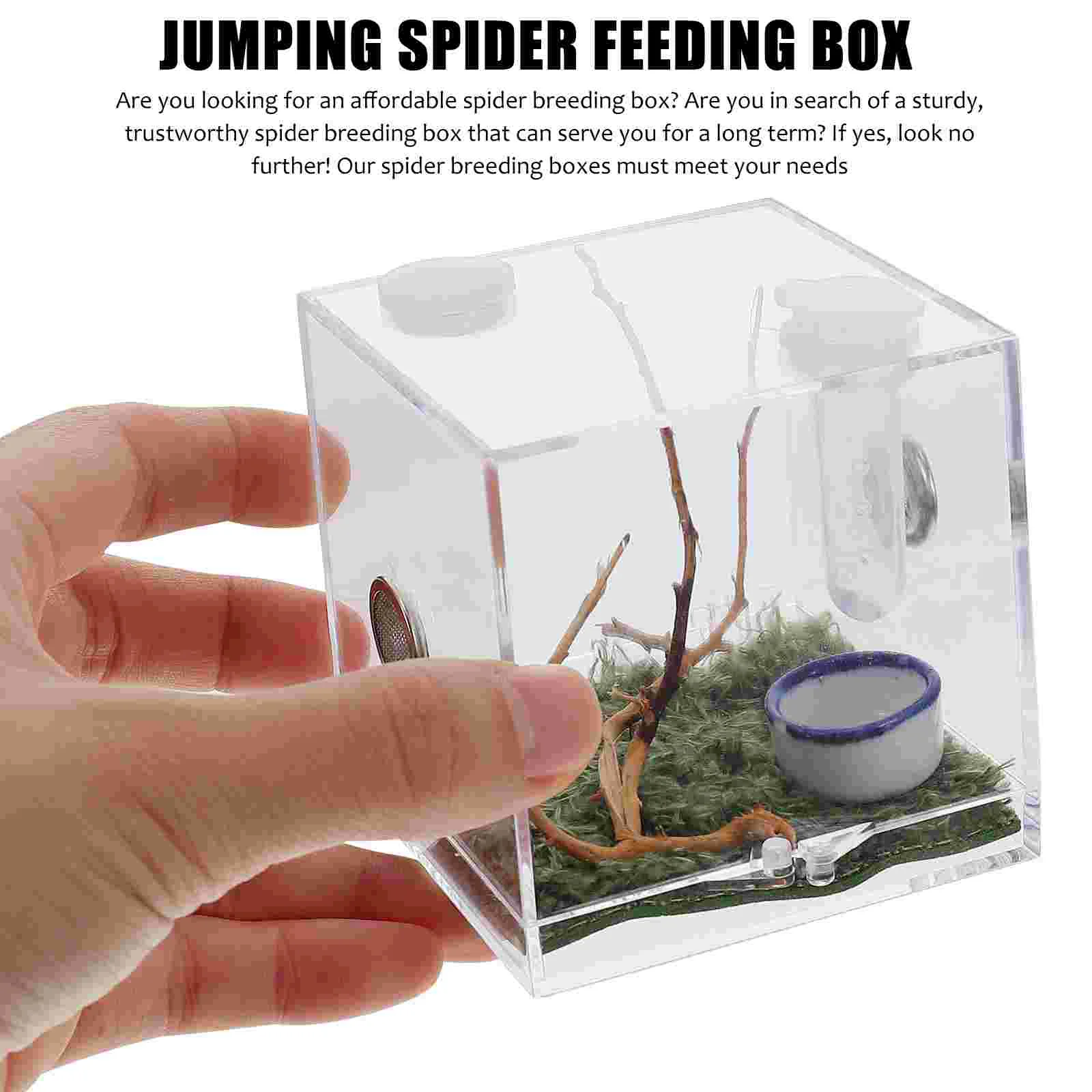 2 Set Jumping Spider Breeding Box Enclosure Terrarium for Spiders Cricket Terrariums Terario Insect Cage Carrier Glass