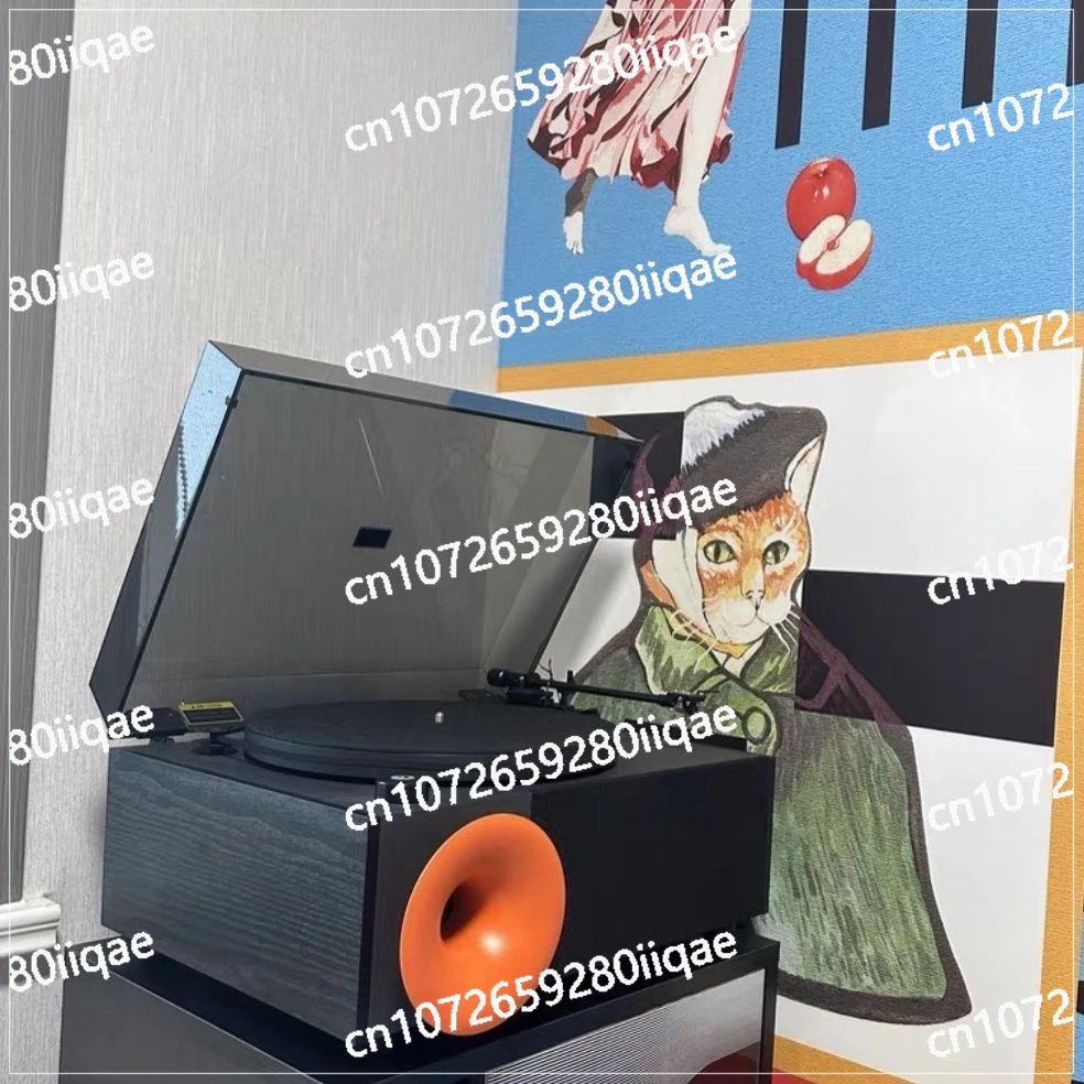 Vinyl Record Player Audio Donut I5s Professional-grade Desktop  Phonograph