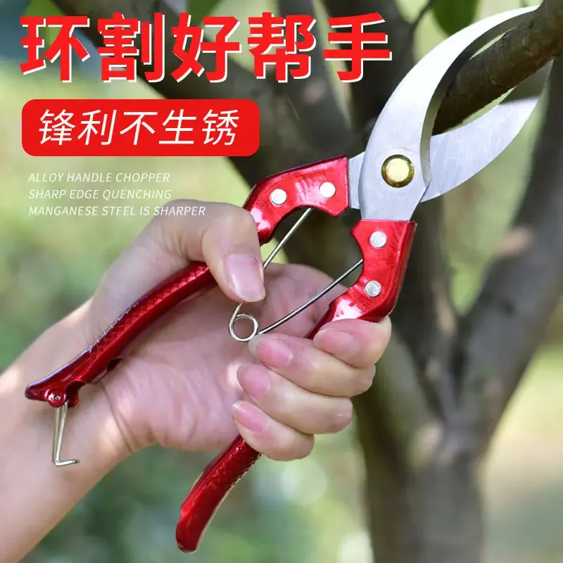 Fruit Tree Ring Cutting Knife Ring Cutting Lychee Citrus Honey Pomelo Fruit Tree Peeling Ring Cutting Knife Bud Grafting Knife