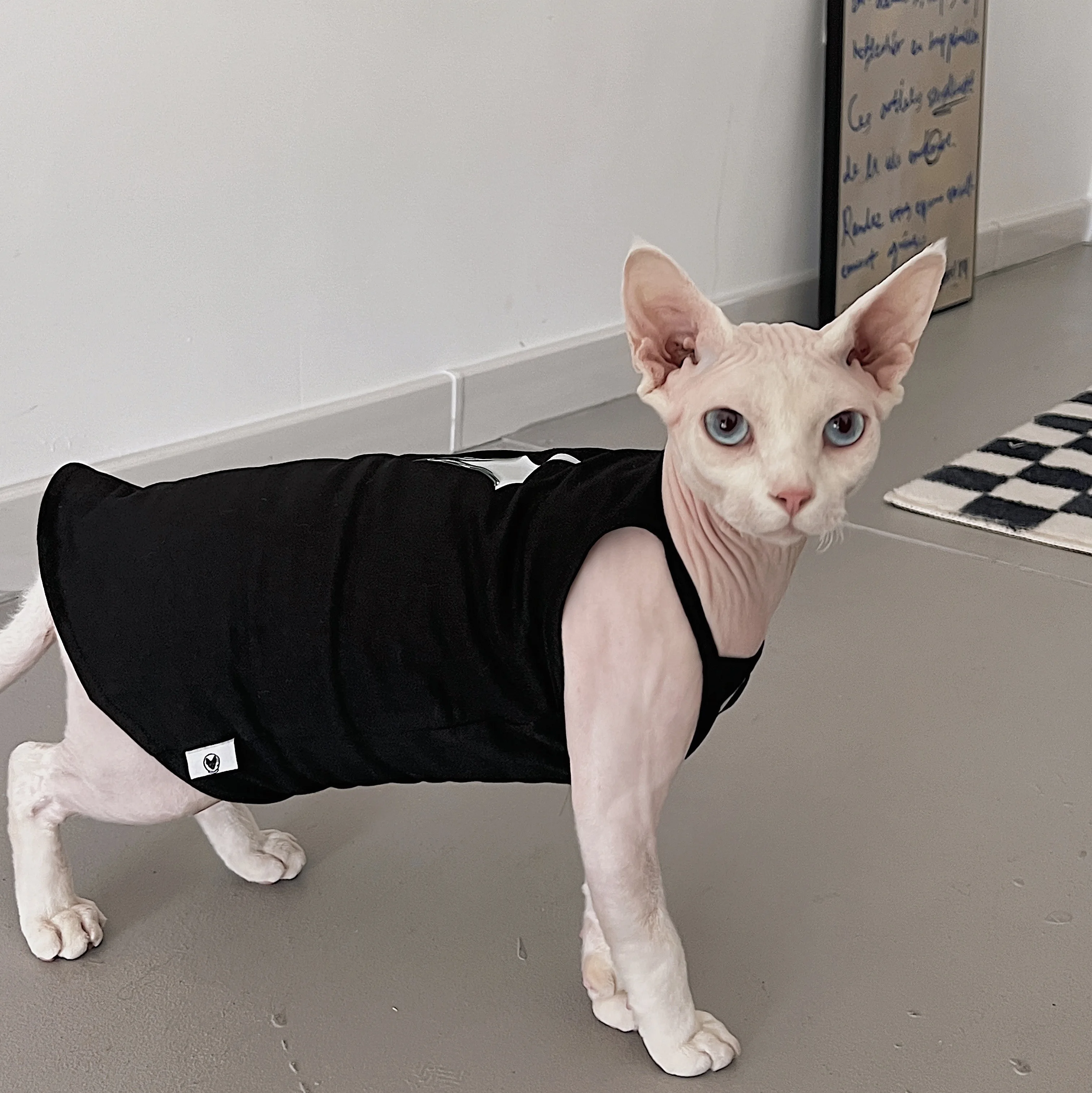 Fahsion Four-pointed Star Summer Cotton Vest for Sphynx Cat Clothes Sleeveless Cool T-Shirt for Kittens Soft Jumpsuit for Devon