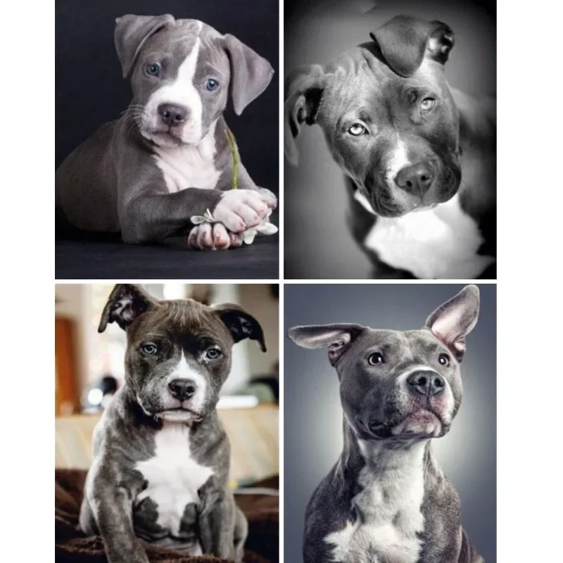 American Pit Bull Terrier Diamond Painting Cute Black and White Pitbull Puppies Diy Diamond Mosaic Cross Stitch Kits Room Decor