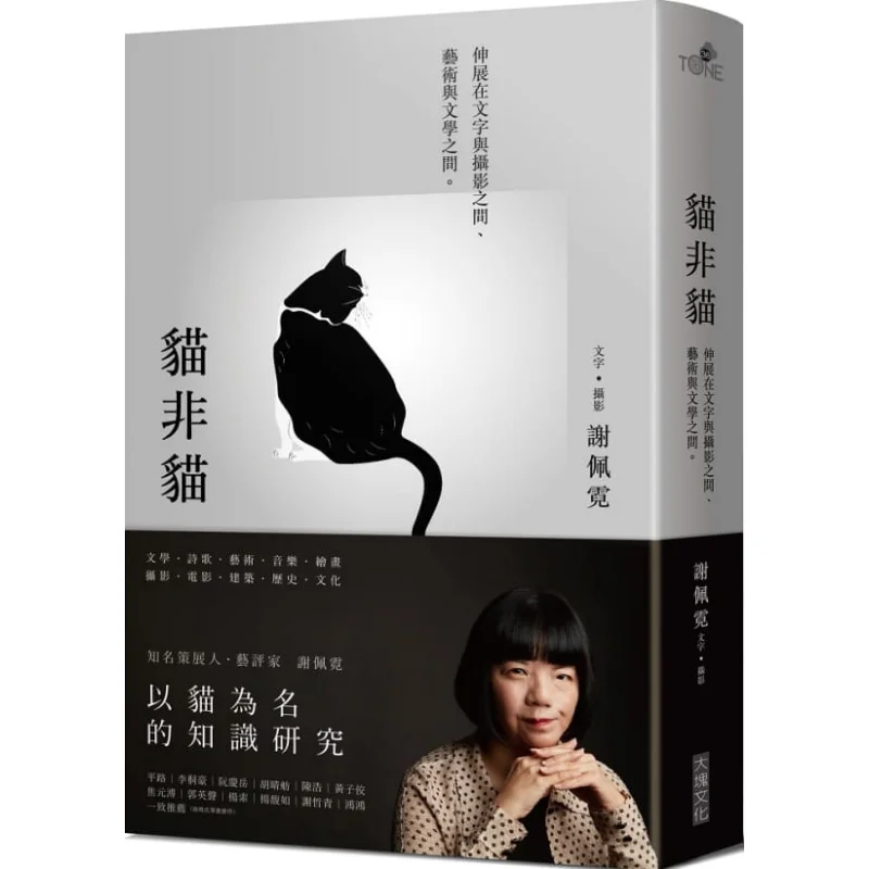 

A Cat Is Not A Cat Xie Peini Big Block 9789865549404 Book