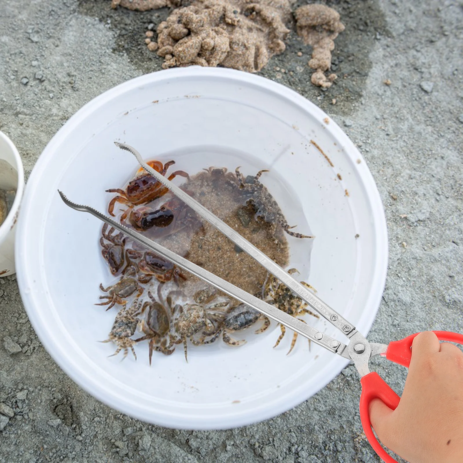 

Fish Catching Clamp Crab Tong Sea Crab Grabber Tool For Loach Lobster Outdoor Fishing Steel Handle Aquatic Catcher