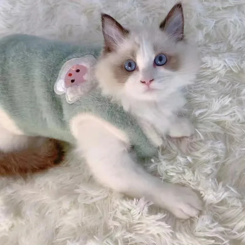 

Winter Soft Thicken Pet Clothes, Faux Rabbit Fur Pet Clothing, Warm Cat Accessories, Monochromatic Plush Dog Vest, Pet Supplies