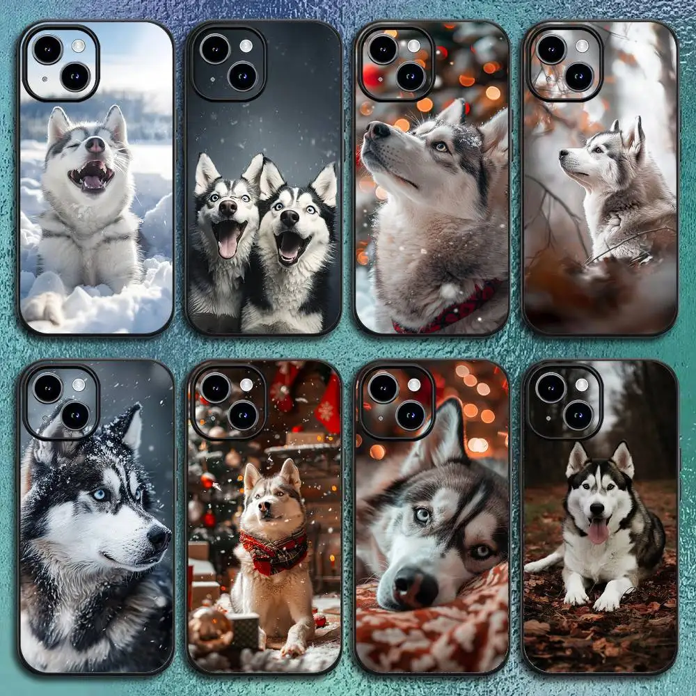 Lustige Husky-Hunde-Handyhülle für iPhone 17 12 13 14 15 16 Pro Max Plus. Klassische schwarze Softshell