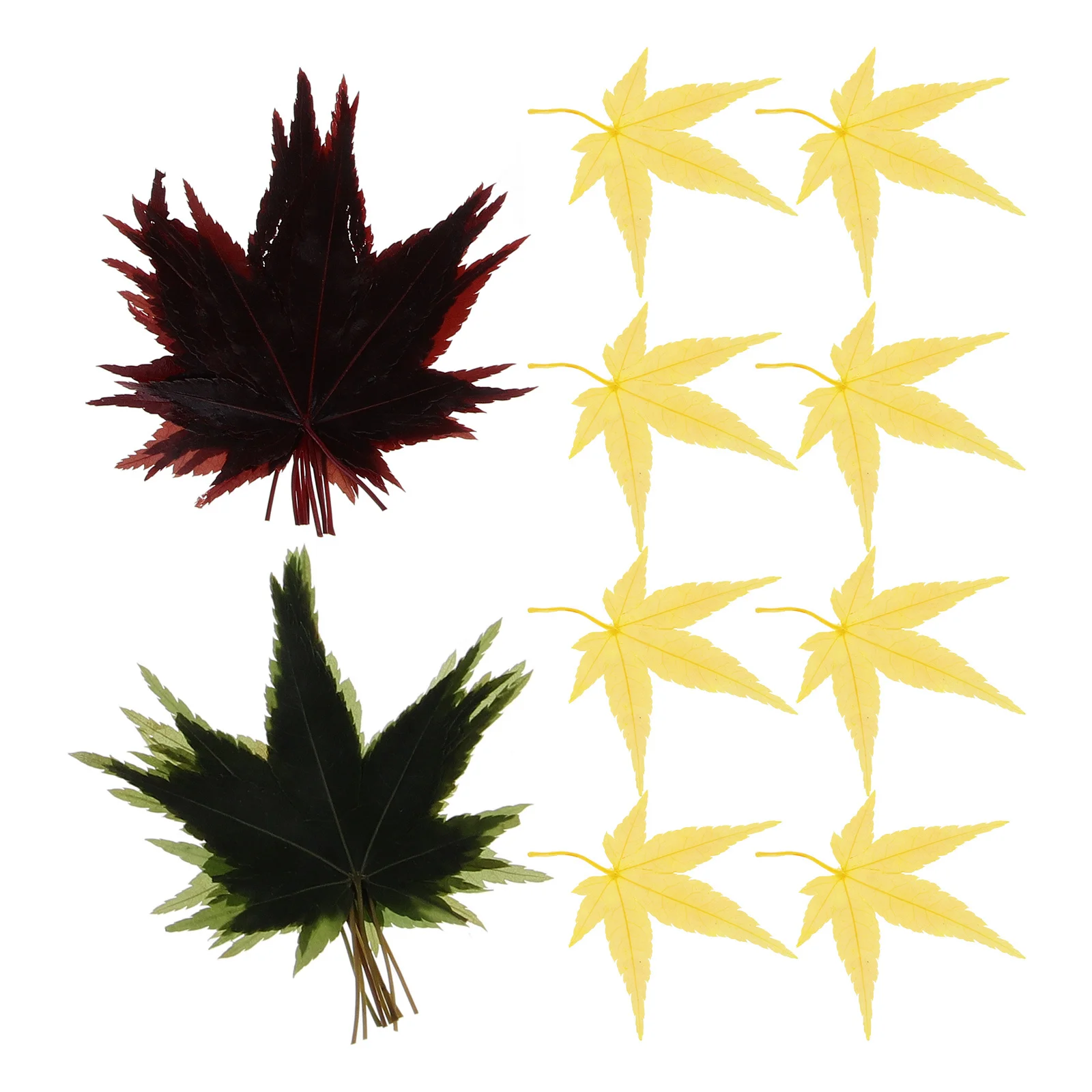 

30Pcs Maple Leaf Sushi Plate Decor Natural Sashimi Leaf Japanese Food Photography Backdrop Seafood Serving Tray Embellishment
