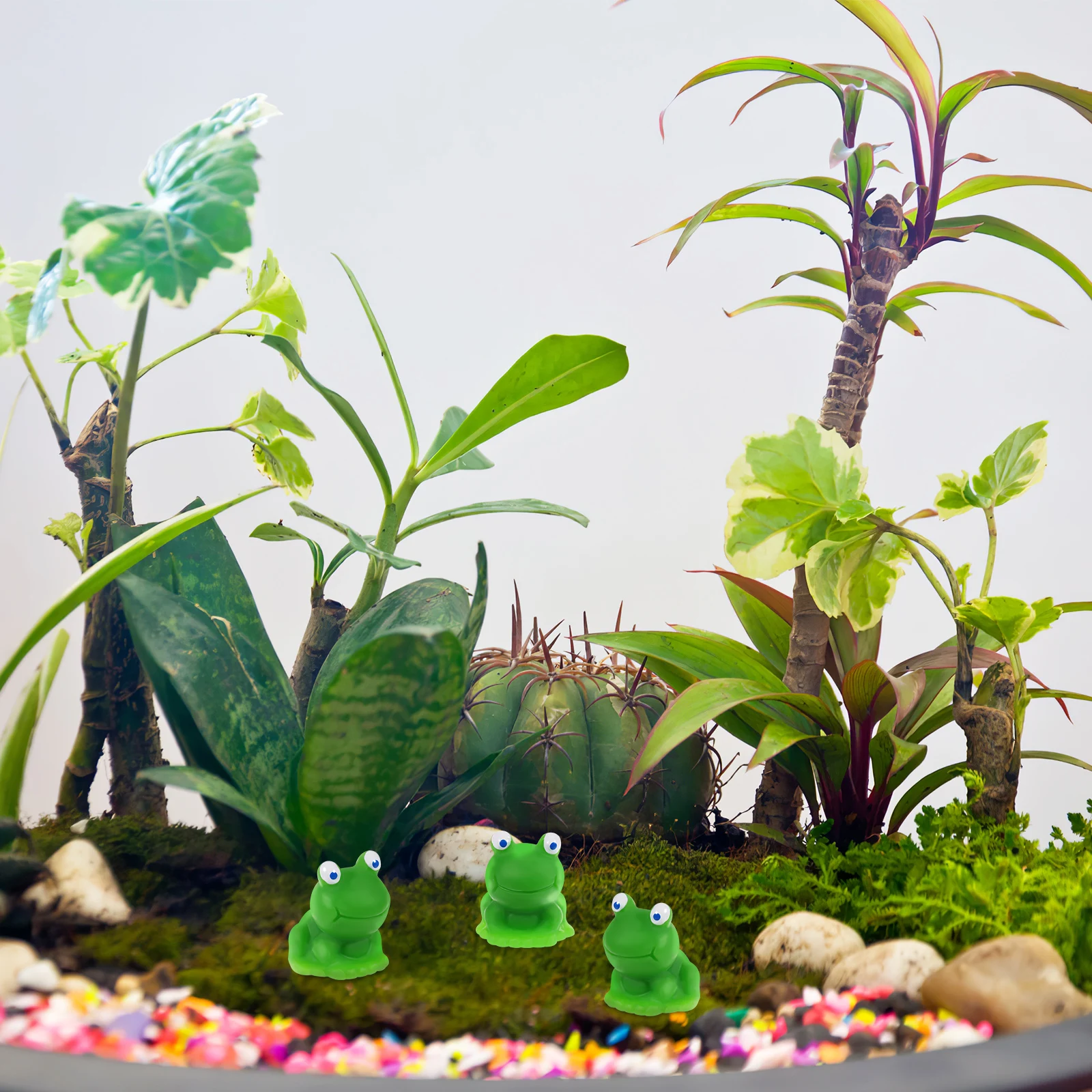 

10Pcs Blue Eye Mini Resin Frogs Exquisite Garden Decorations Micro Landscape Tiny Frog Ornaments Mini Frogs Pond Ornaments