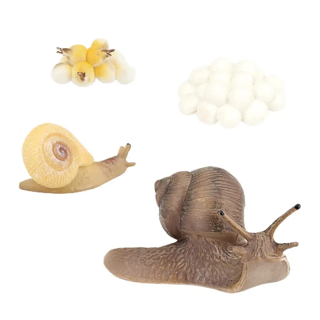 

Life Cycle Marine Creature Action Figure Model Kids Pre- Toys