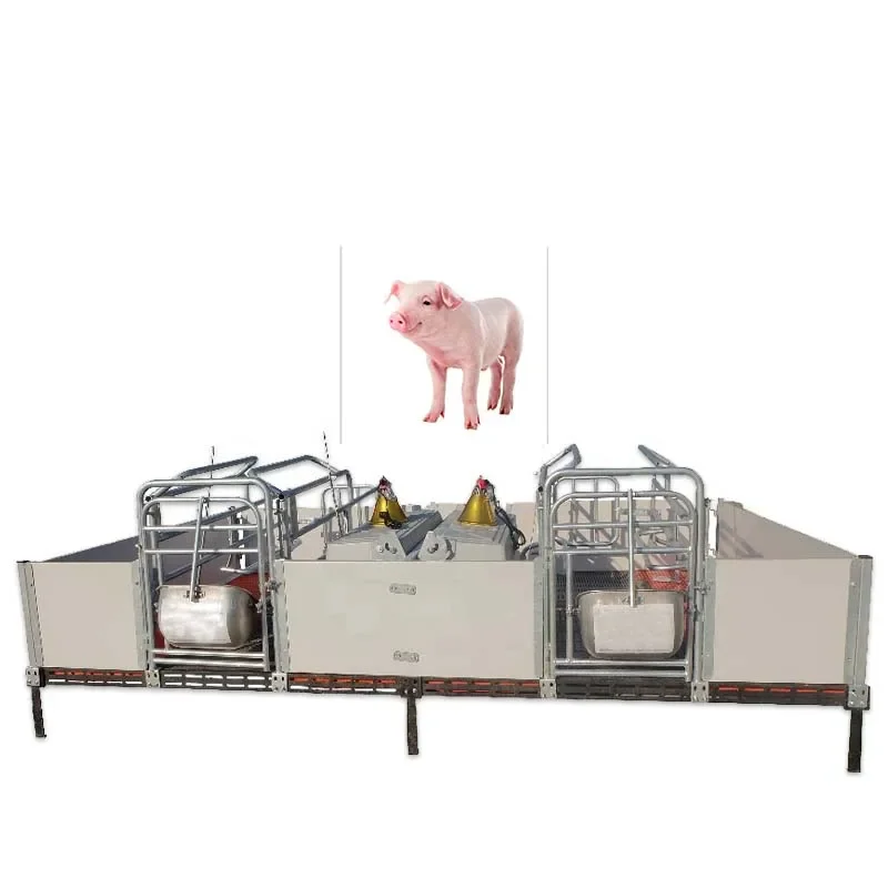 Hot sale pig cages, pig farm equipment