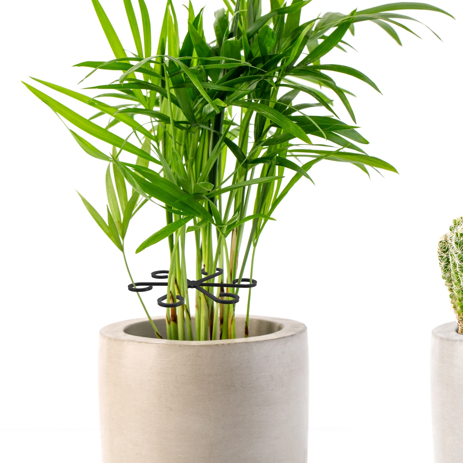 

8Pcs Plant Stem Support Adjustable Height Indoor Flower Plant Support Frame Bonsai Holders Trellis Stable Stem Holder Rack